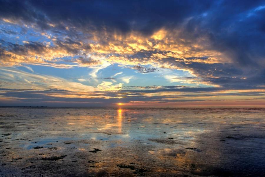 Camping Wad Noch Meer Anna Paulowna Exteriör bild